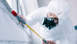 Real Estate Pest Inspections in Glencoe, IL